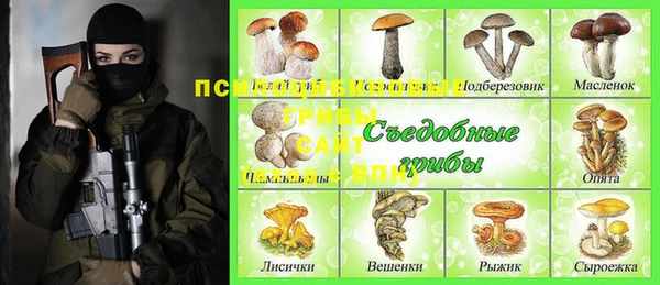 прущий лед Аркадак